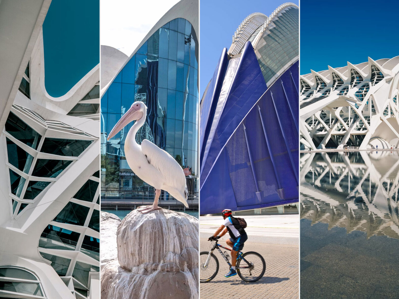 travel guide of valencia